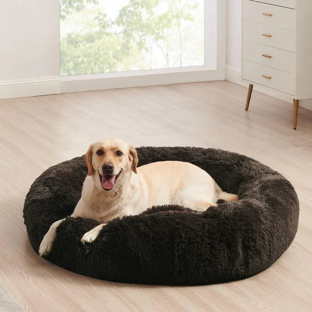 Cama Anti-estrés DogLove® Super rellena + Alfombra de regalo