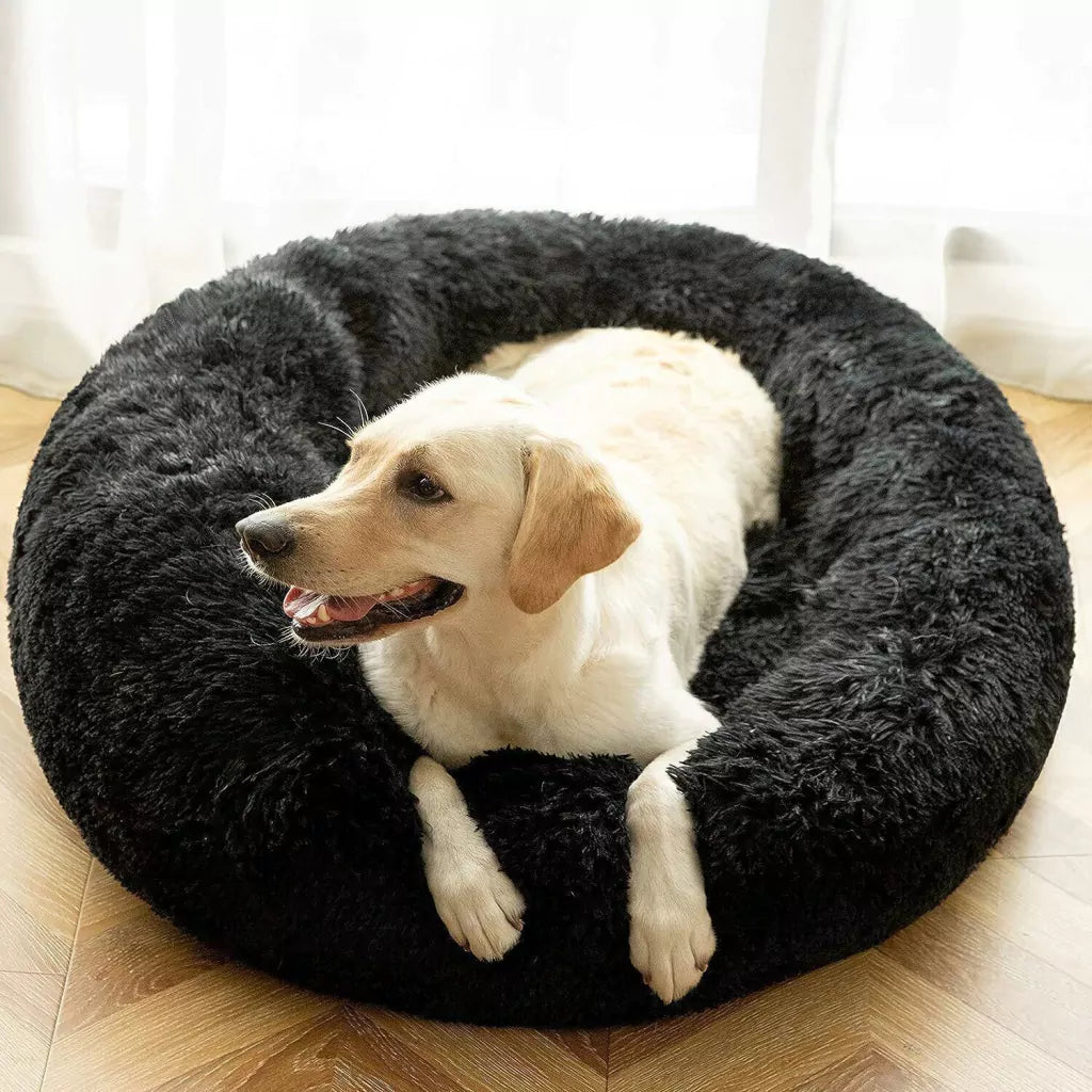 Cama Anti-estrés DogLove® Super rellena + Alfombra de regalo